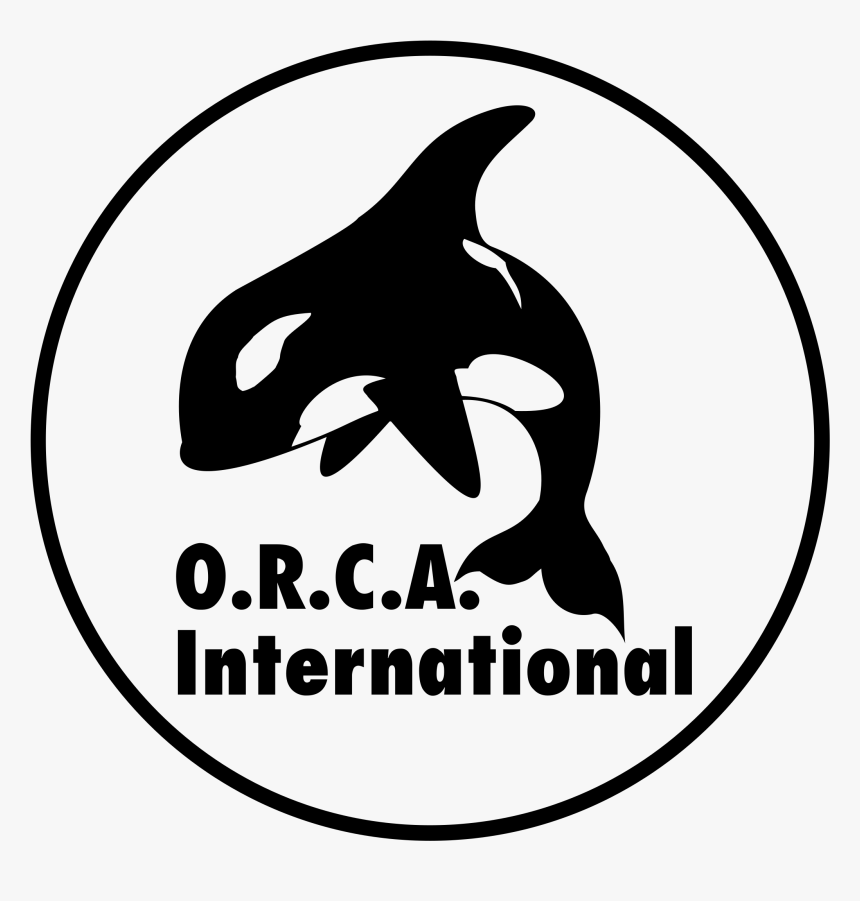 Orca International Logo Png Transparent - Killer Whale, Png Download