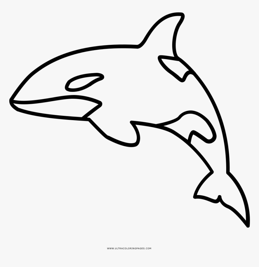 Full Size Of Coloring Book And Pages - Outline Of Killer Whale, HD Png Download