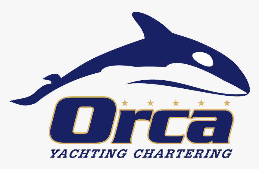 Orca Clipart Small - Killer Whale, HD Png Download