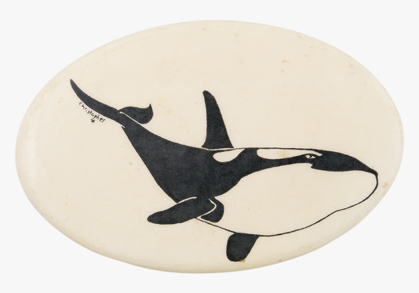 Orca Whale Art Button Museum - Killer Whale, HD Png Download