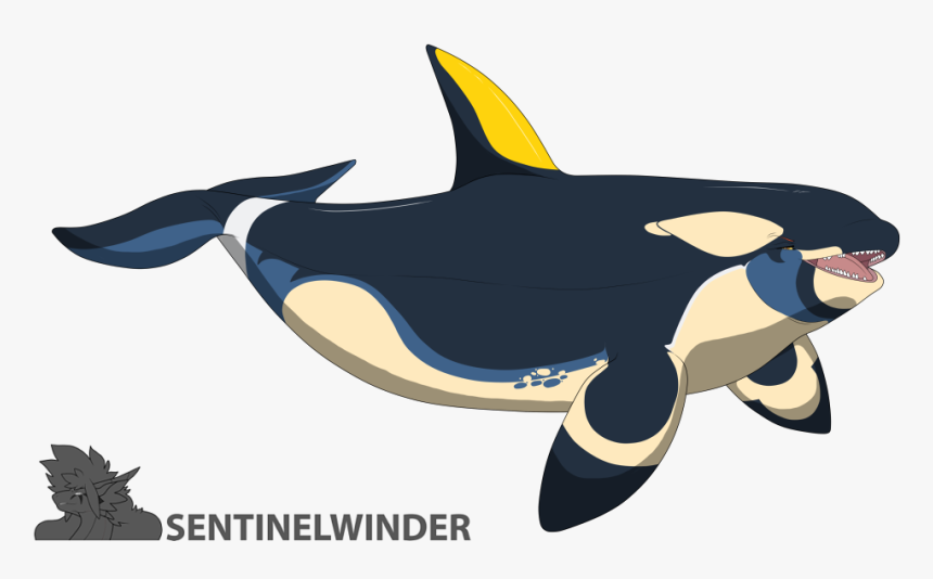 Dakota Orca - - Killer Whale, HD Png Download