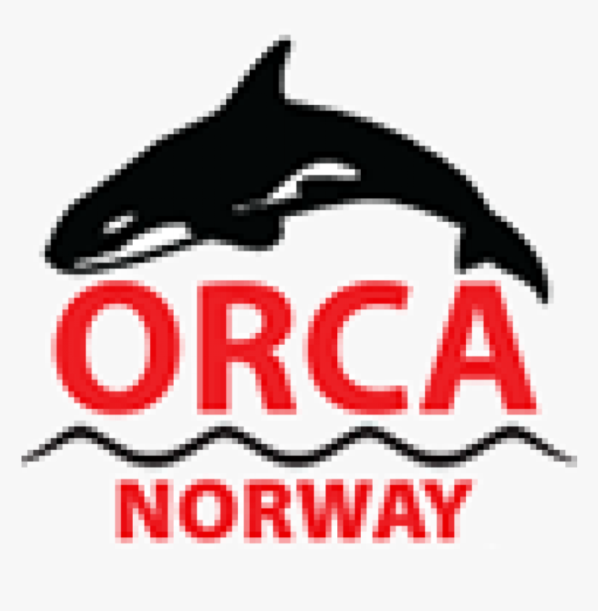 Killer Whale, HD Png Download