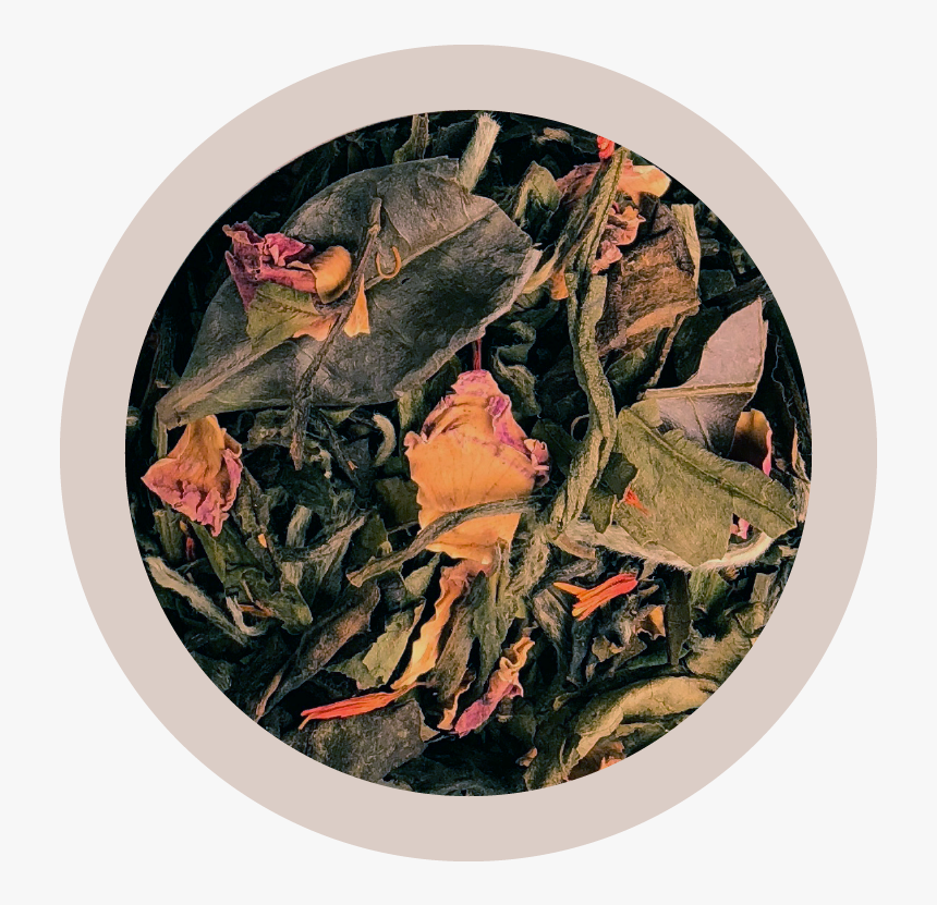 Floral Design, HD Png Download