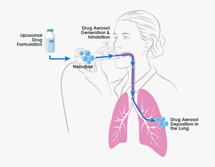 Aerosol Drug Therapy, HD Png Download