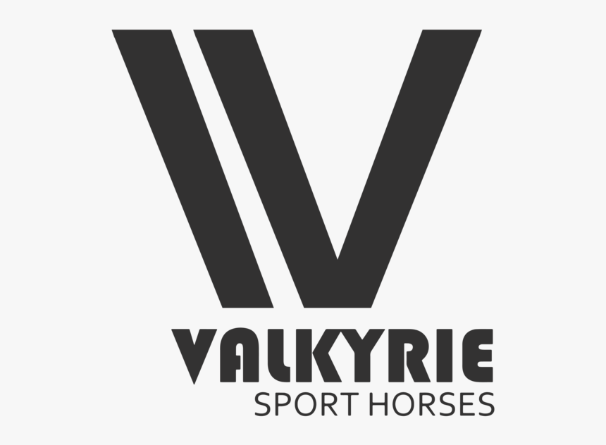 Valkyrie Option 1 - Graphics, HD Png Download