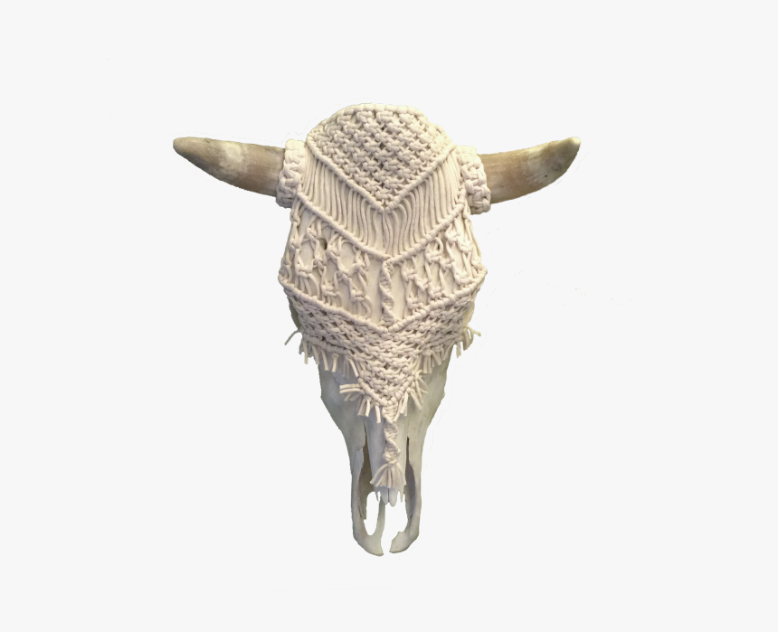 Transparent Metal Skull Png - Armadillo, Png Download