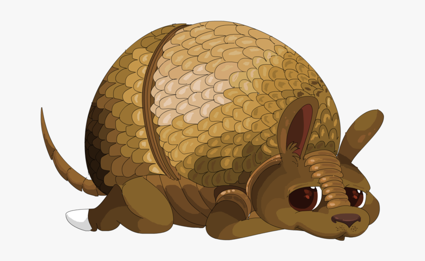 Armadillo, HD Png Download