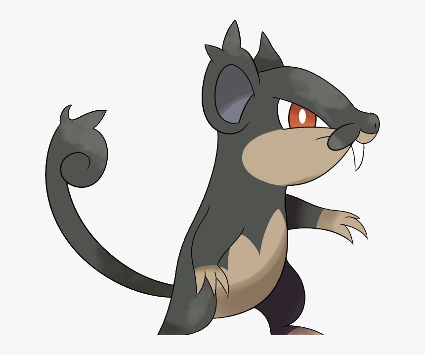 Alolanrattataother1 - Pokemon That Looks Like A Rat, HD Png Download