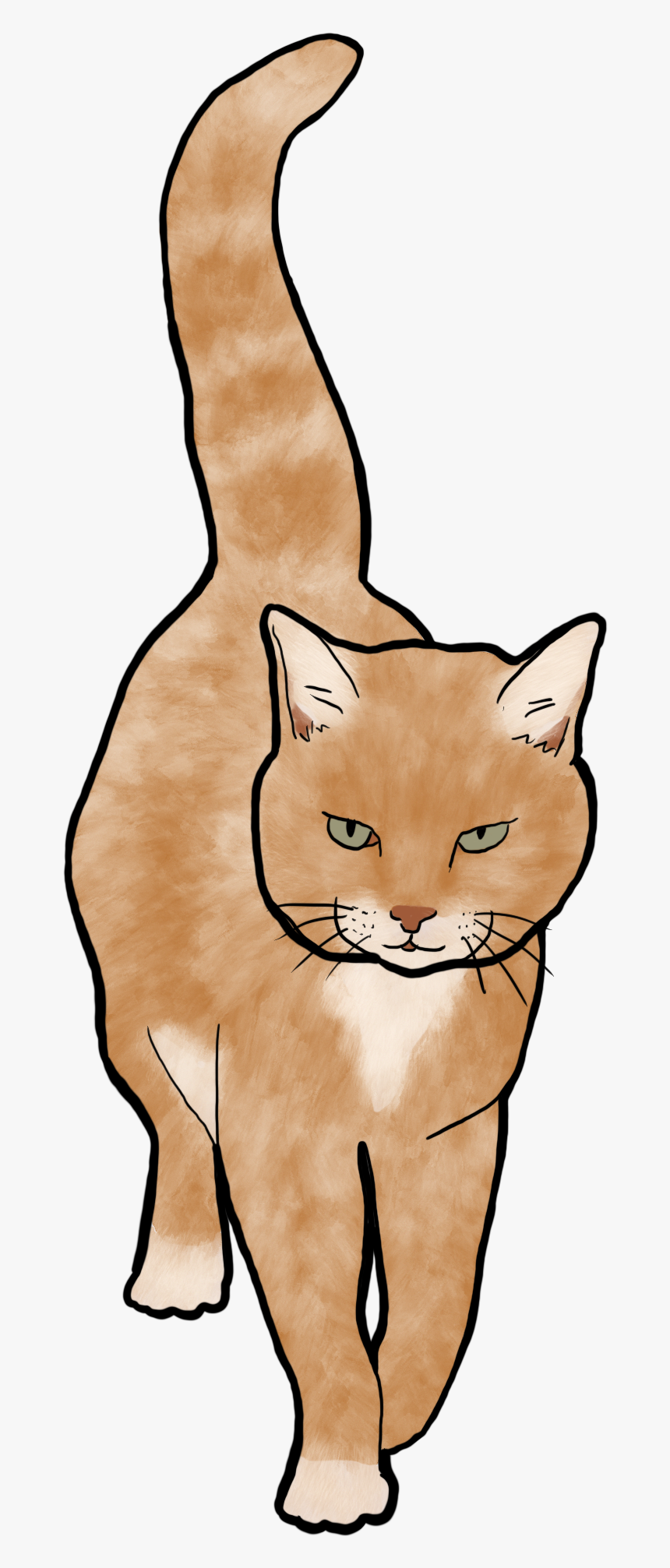 Domestic Short-haired Cat, HD Png Download