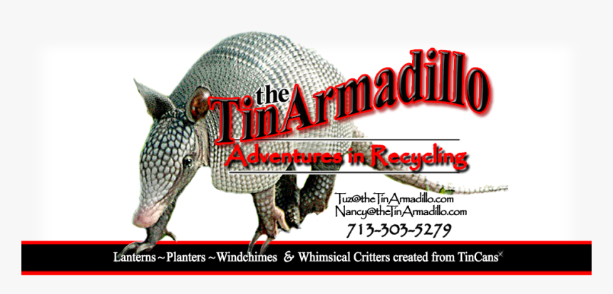 The Tin Armadillo - Armadillo, HD Png Download