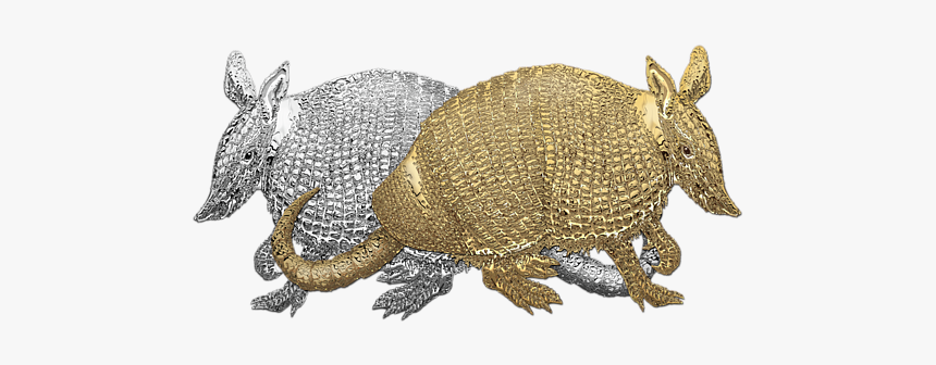 Armadillo, HD Png Download