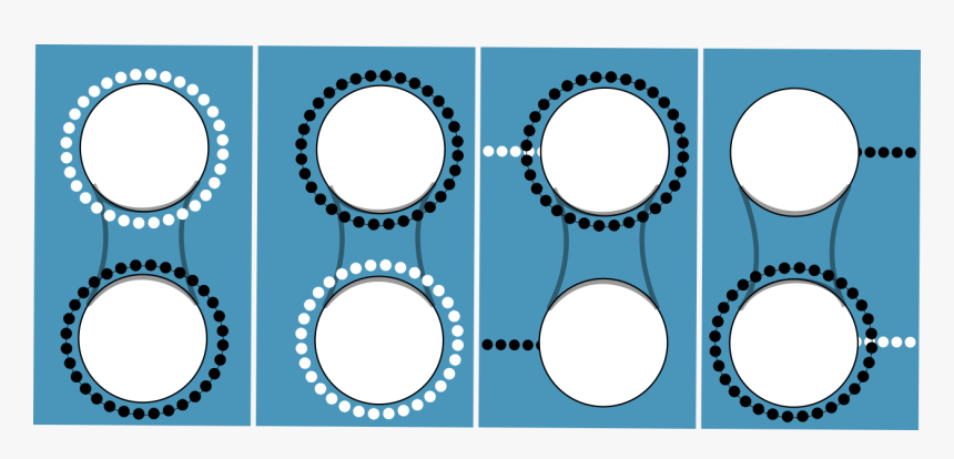 Dentistry, HD Png Download