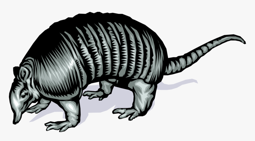 Vector Illustration Of Fully Armored Armadillo With - Illustration, HD Png Download