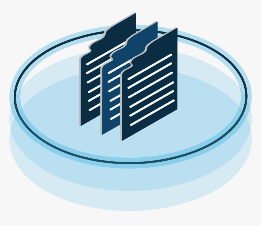 Circle, HD Png Download