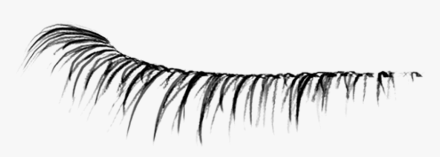 #eyelash #eyelashes #eyelashsticker #makeup #beauty - Eyelash, HD Png Download