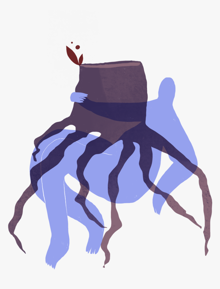 Image1 - Illustration, HD Png Download