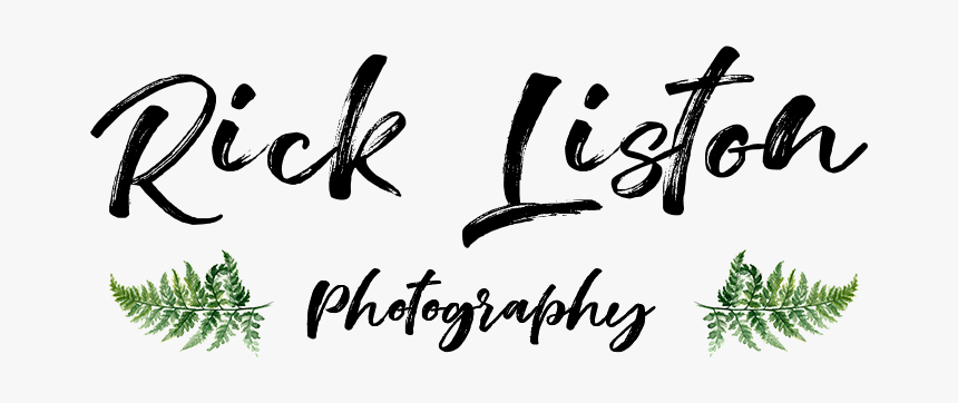 Calligraphy, HD Png Download