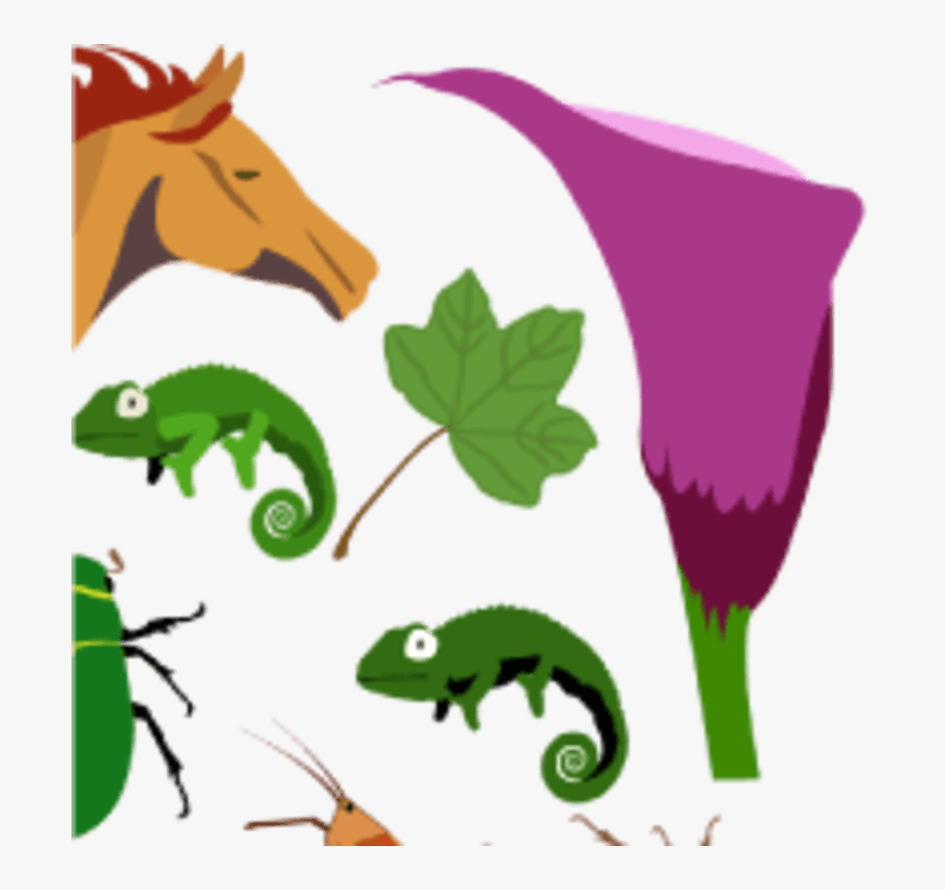 Clip Art, HD Png Download