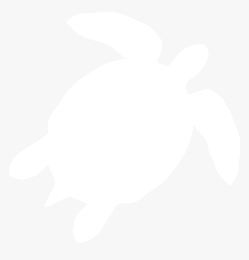 Donate Now To Help Us Spread The Word - Kemp's Ridley Sea Turtle, HD Png Download