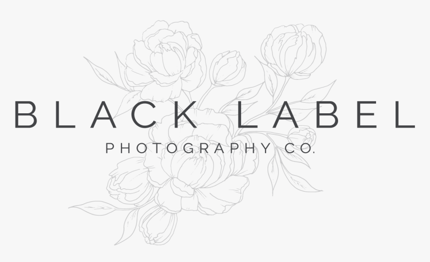 Line Art, HD Png Download