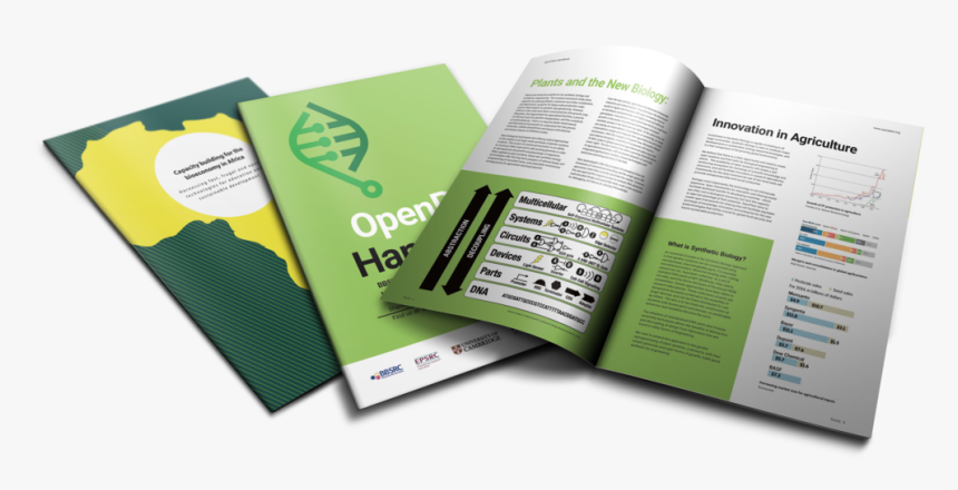 Transparent Plant Png - Brochure, Png Download