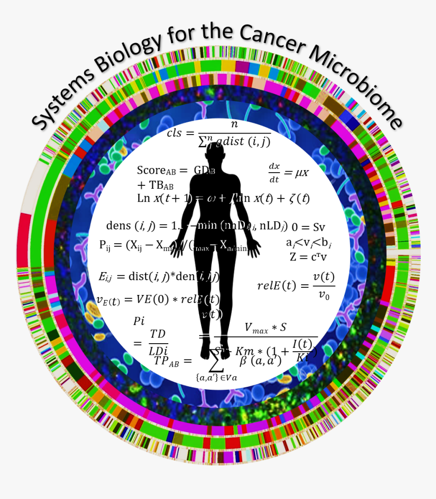 Systems Biology For The Cancer Microbiome Logo - Circle, HD Png Download