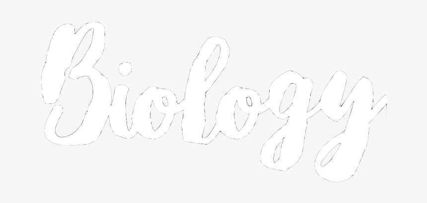 Picture - Calligraphy, HD Png Download