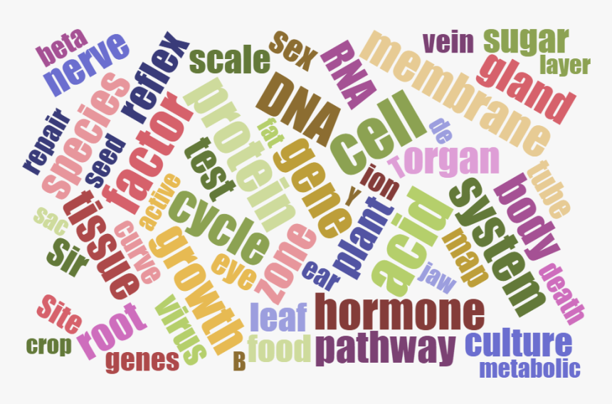 Biology , Png Download - Circle, Transparent Png