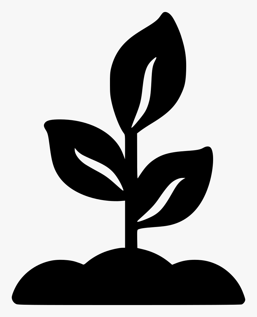 Biology Plants Life Test - Planta Icono Png, Transparent Png