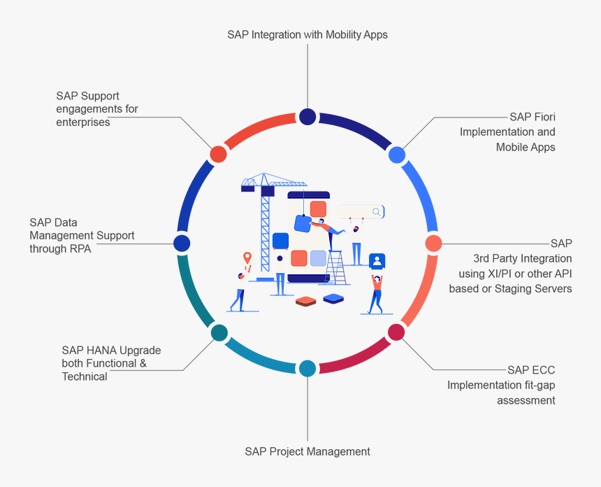 Info Sap Practice - Key In Taxonomical Aids, HD Png Download
