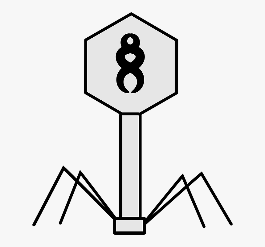 Transparent Biology Clipart - Virus Black And White, HD Png Download