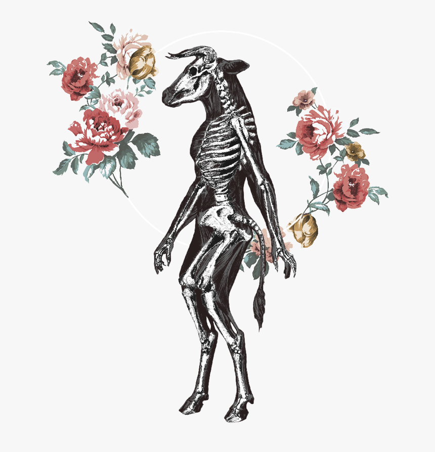 Illustration, HD Png Download