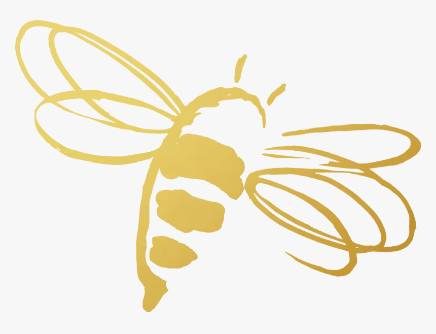 The Royal Revitalize Challenge - Jafra Royal Jelly Bee, HD Png Download