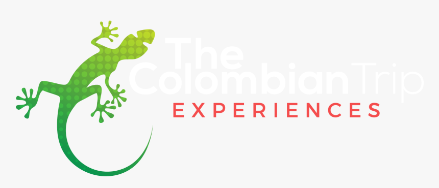 Green Iguana, HD Png Download