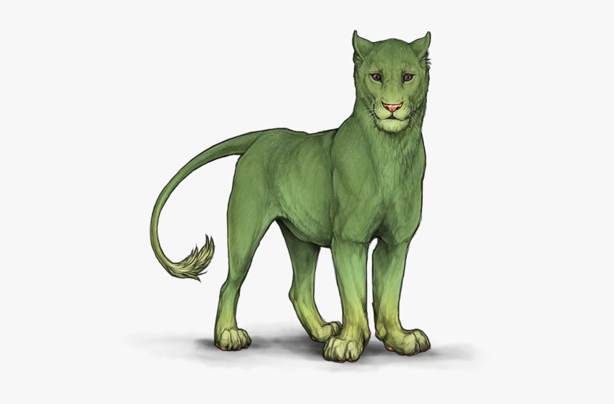 Portable Network Graphics, HD Png Download