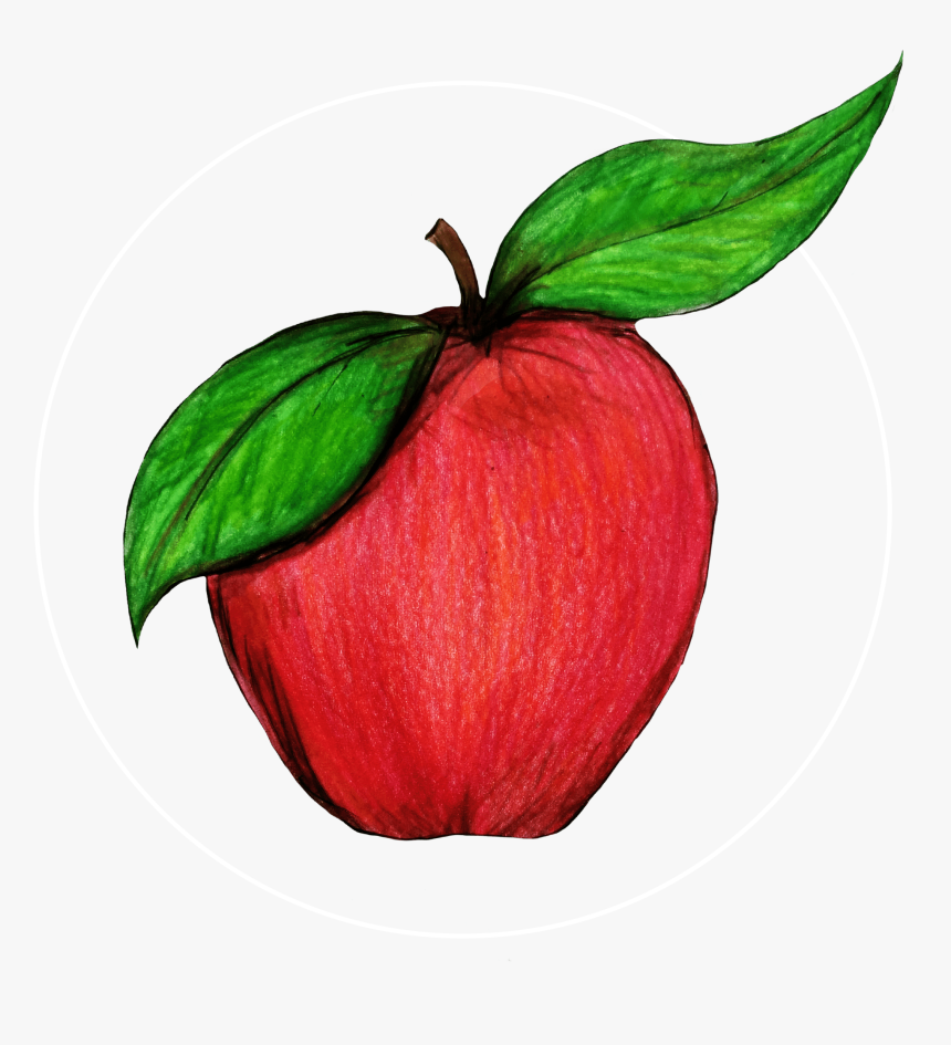 Attribute Motif Apple White - Mcintosh, HD Png Download