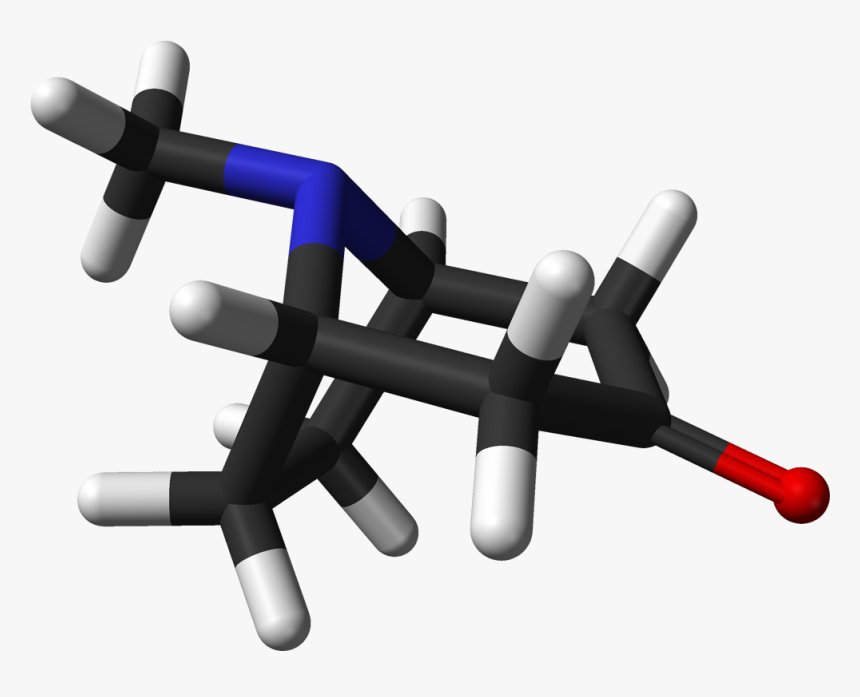Tropinone 3d Sticks - Metabolito Benzoilecgonina, HD Png Download