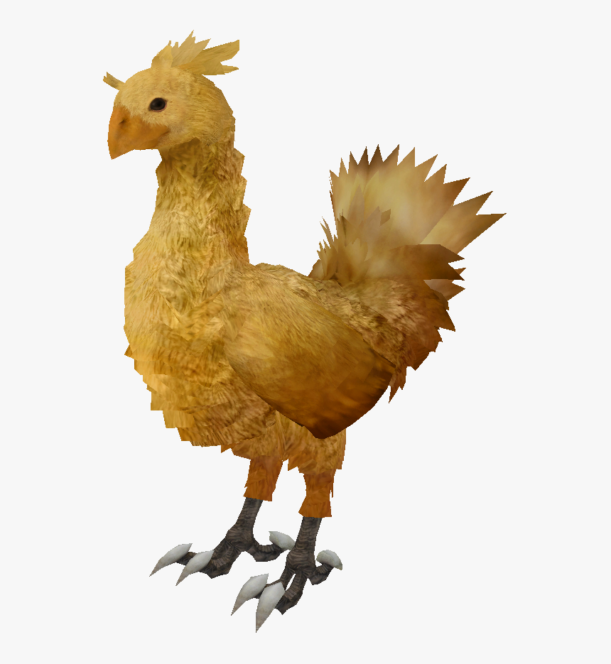 C Chocobo Ffxiii Render - Final Fantasy Chocobo Render, HD Png Download