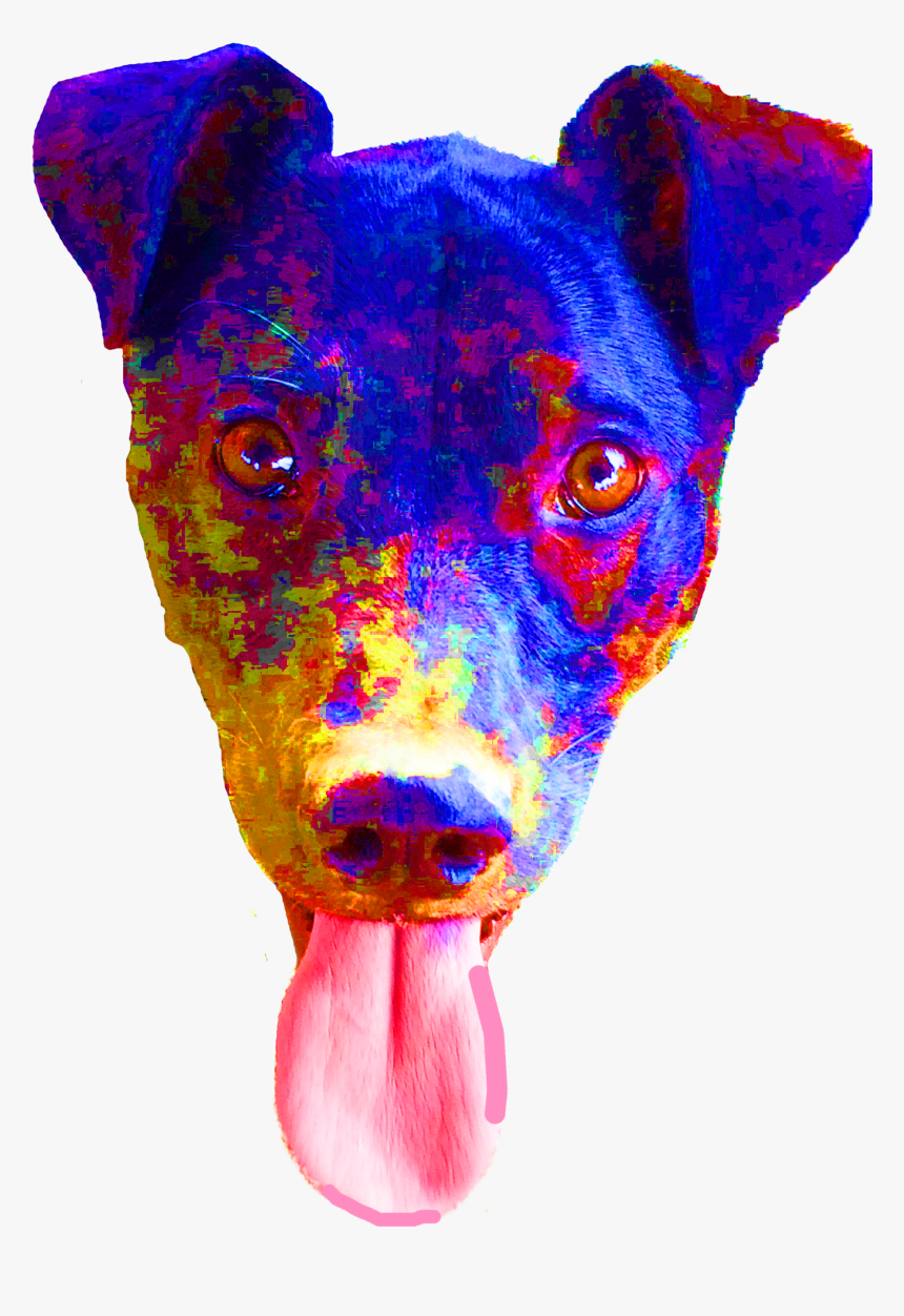 Miniature Pinscher, HD Png Download