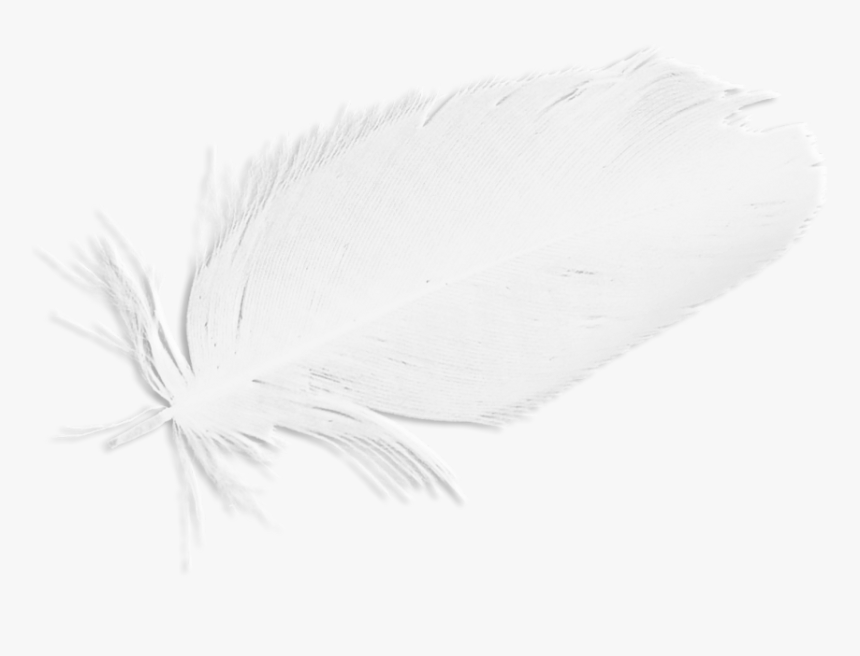 Naomi Supernatural Wings , Png Download - Supernatural, Transparent Png