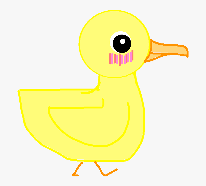 Duck, HD Png Download