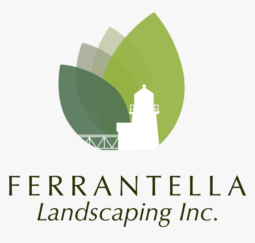 Graphic Design, HD Png Download