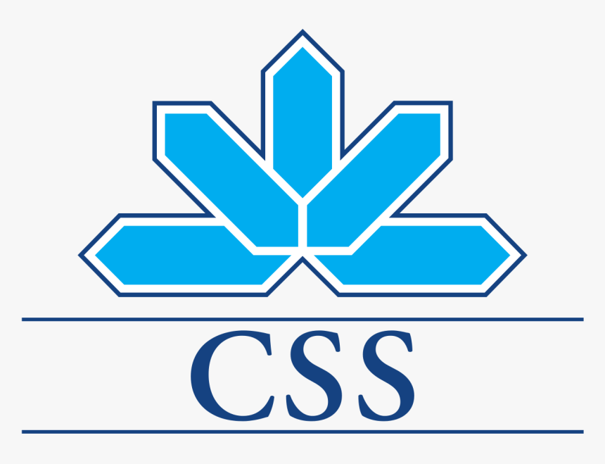 Image Logo In Css Css Assurance Logo, HD Png Download , Transparent