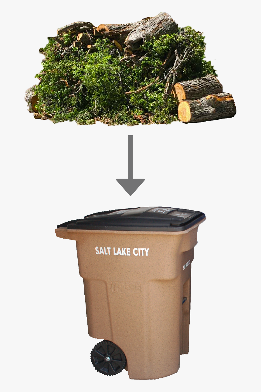 Green Waste Belongs In The Brown Compost Bin - Christmas Tree, HD Png Download