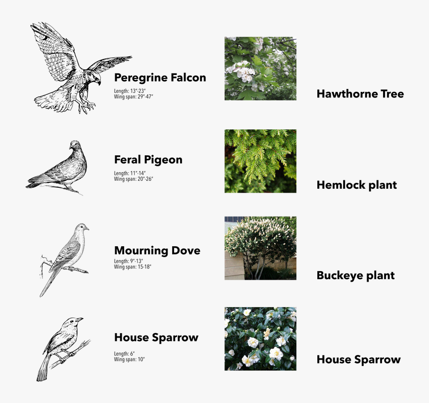 Vertical Divider , Png Download, Transparent Png