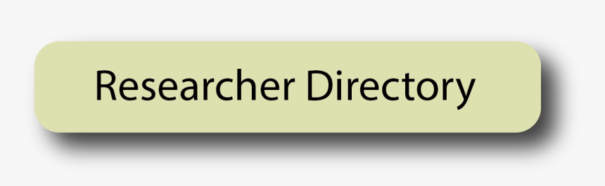 Picture, HD Png Download