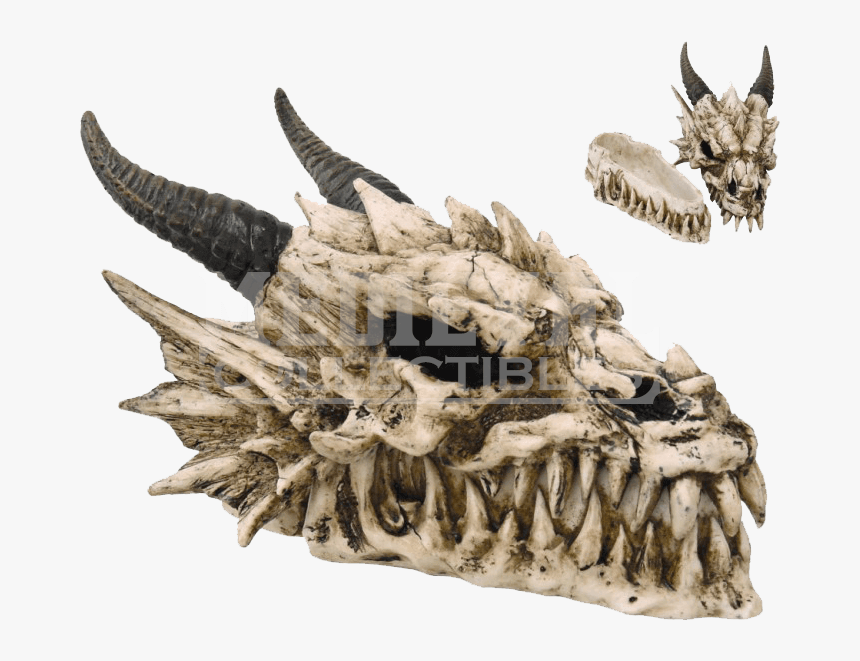 Dragon Skull Png, Transparent Png