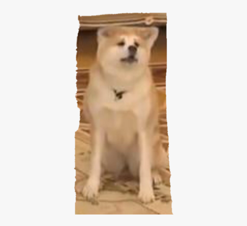 Doge.png, Transparent Png