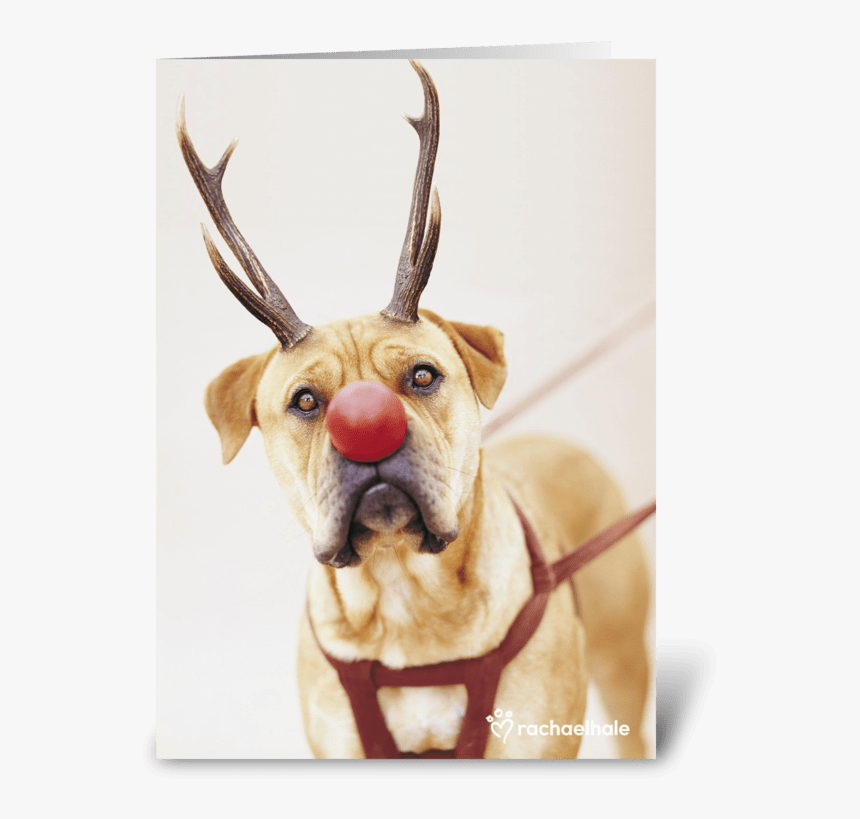 A Red Nose Will Get You Everywhere Greeting Card, HD Png Download