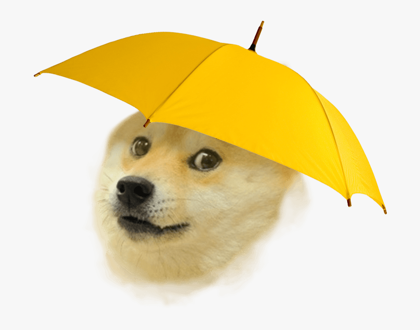Rain Doge , Png Download, Transparent Png